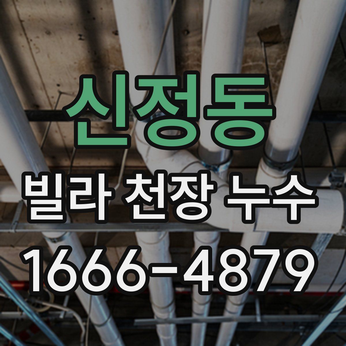 신정동 빌라 천장 누수