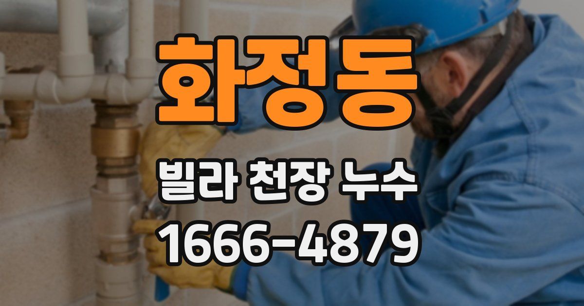 화정동 빌라 천장 누수