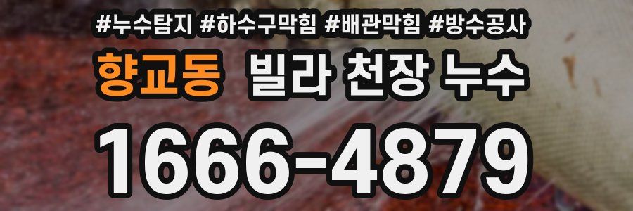 향교동 빌라 천장 누수