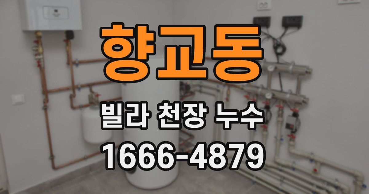 향교동 빌라 천장 누수