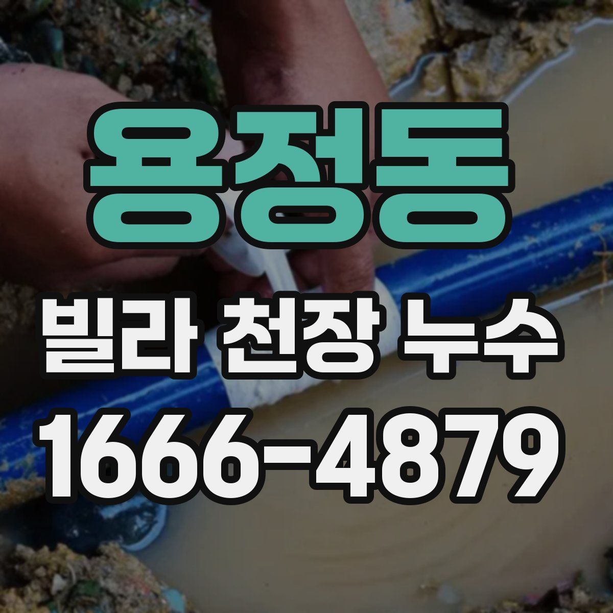 용정동 빌라 천장 누수