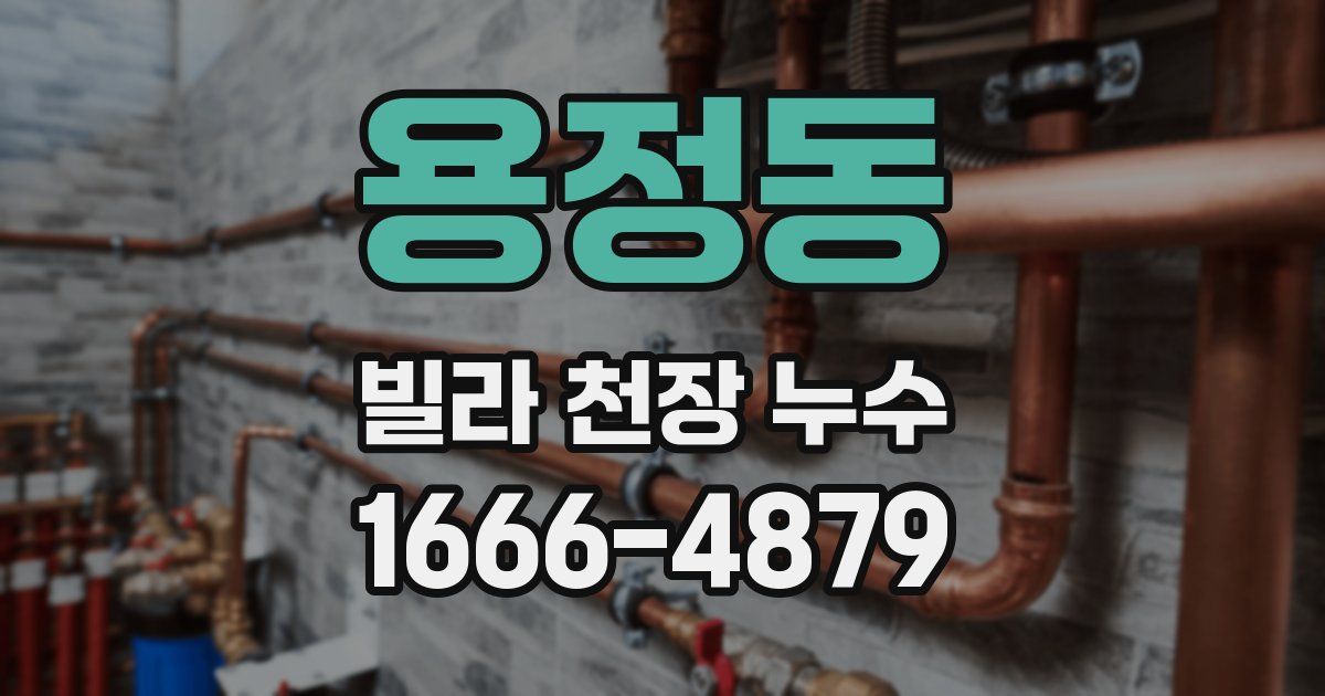 용정동 빌라 천장 누수