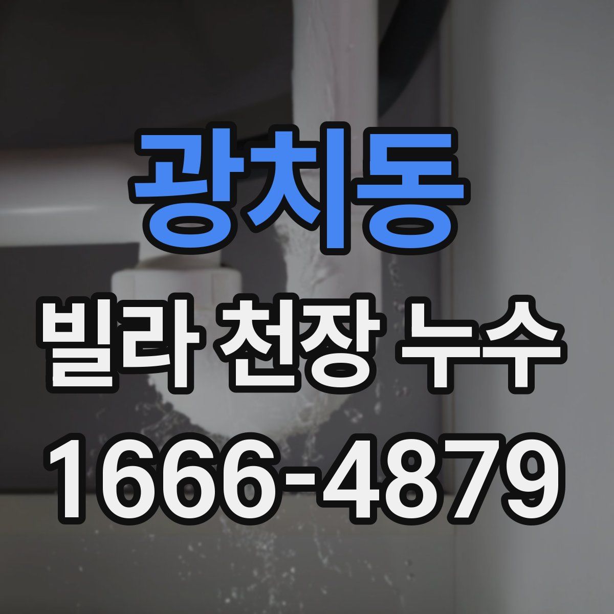 광치동 빌라 천장 누수