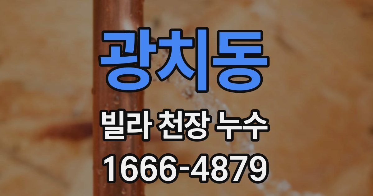 광치동 빌라 천장 누수