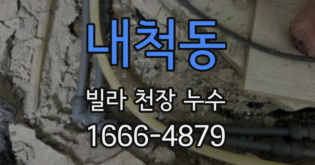 내척동 빌라 천장 누수