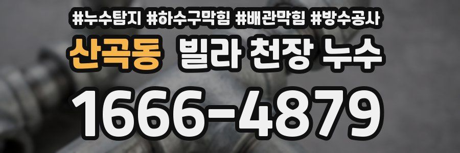산곡동 빌라 천장 누수