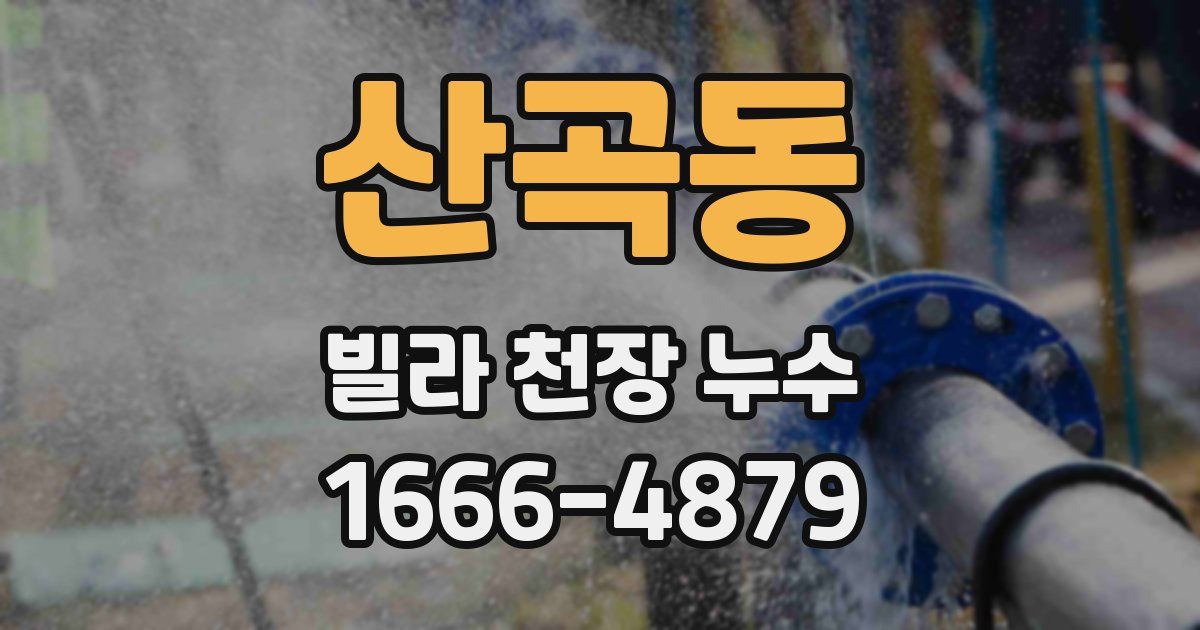 산곡동 빌라 천장 누수