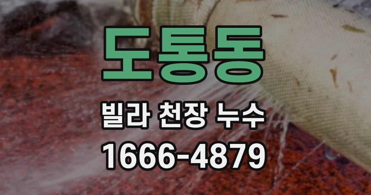 도통동 빌라 천장 누수