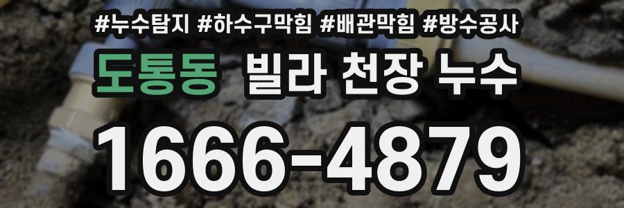 도통동 빌라 천장 누수