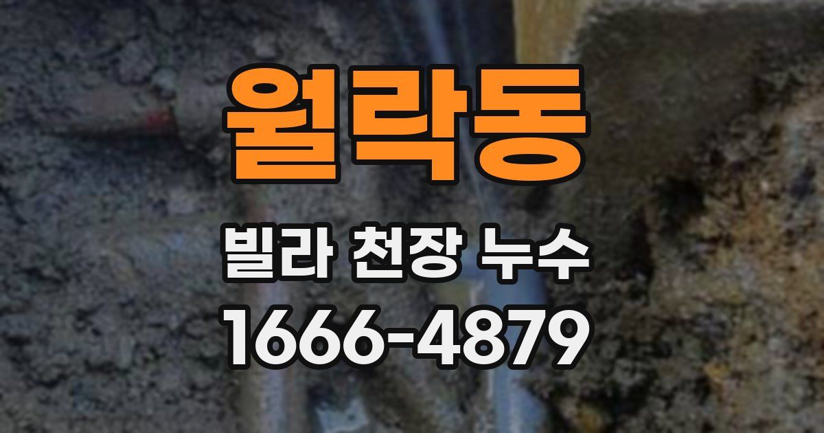 월락동 빌라 천장 누수