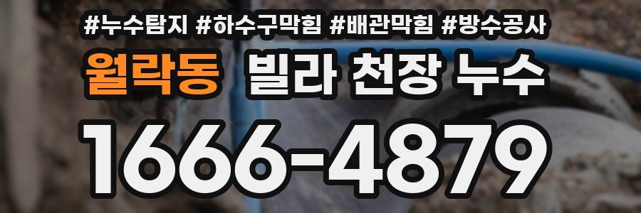 월락동 빌라 천장 누수