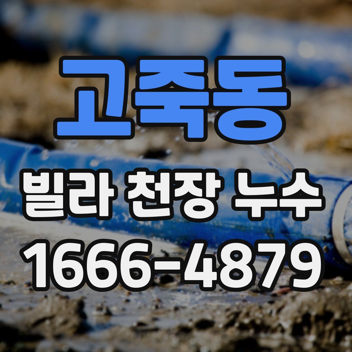 고죽동 빌라 천장 누수