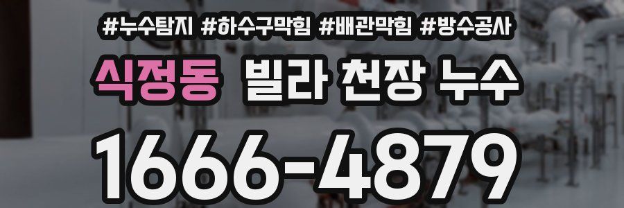 식정동 빌라 천장 누수