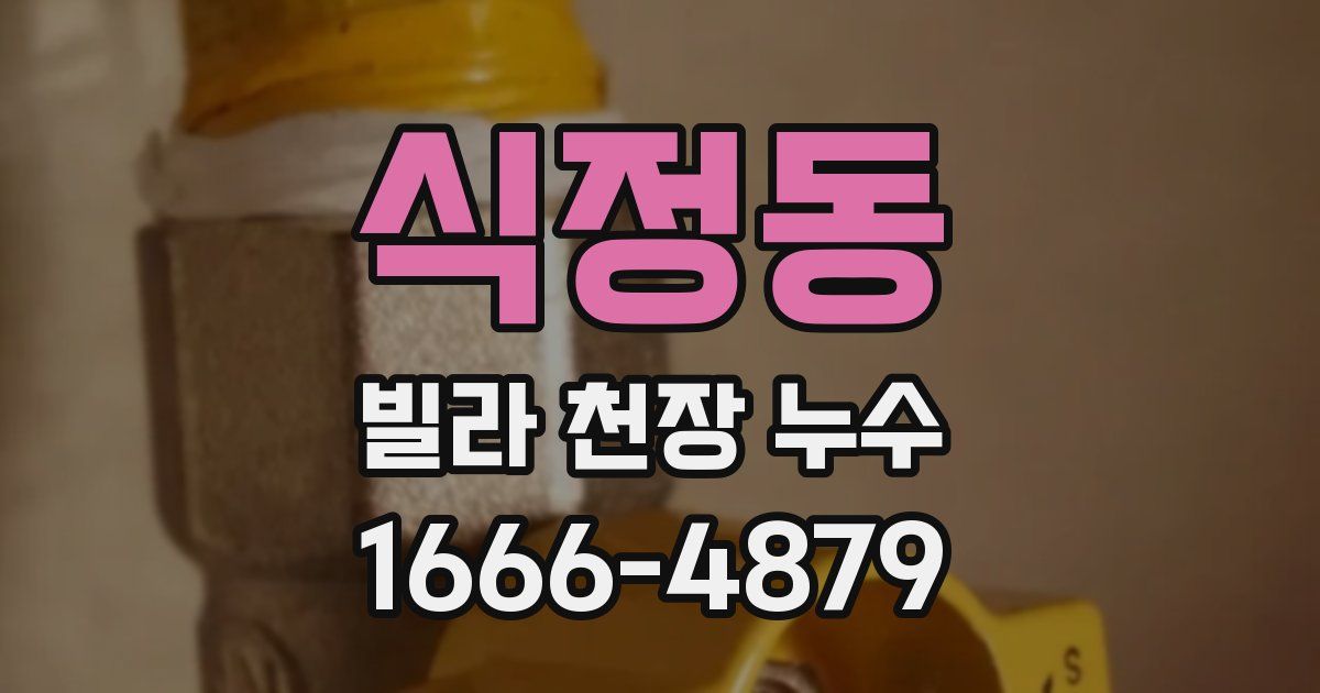 식정동 빌라 천장 누수