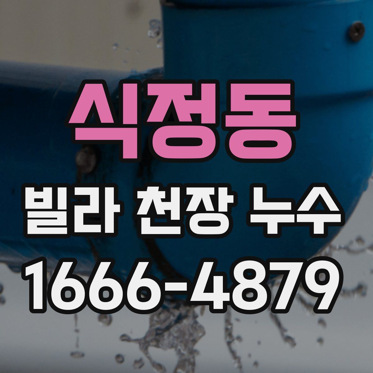 식정동 빌라 천장 누수