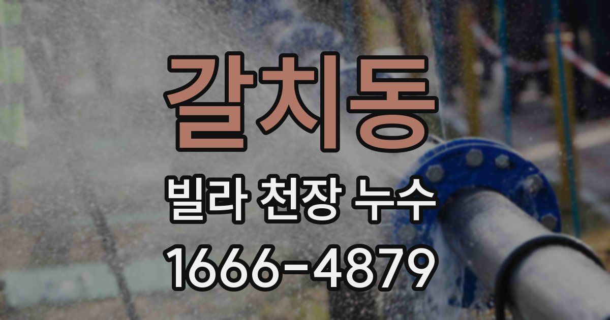 갈치동 빌라 천장 누수