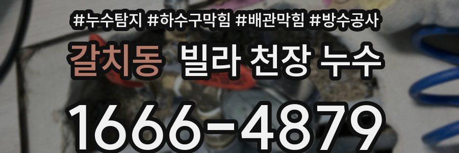 갈치동 빌라 천장 누수
