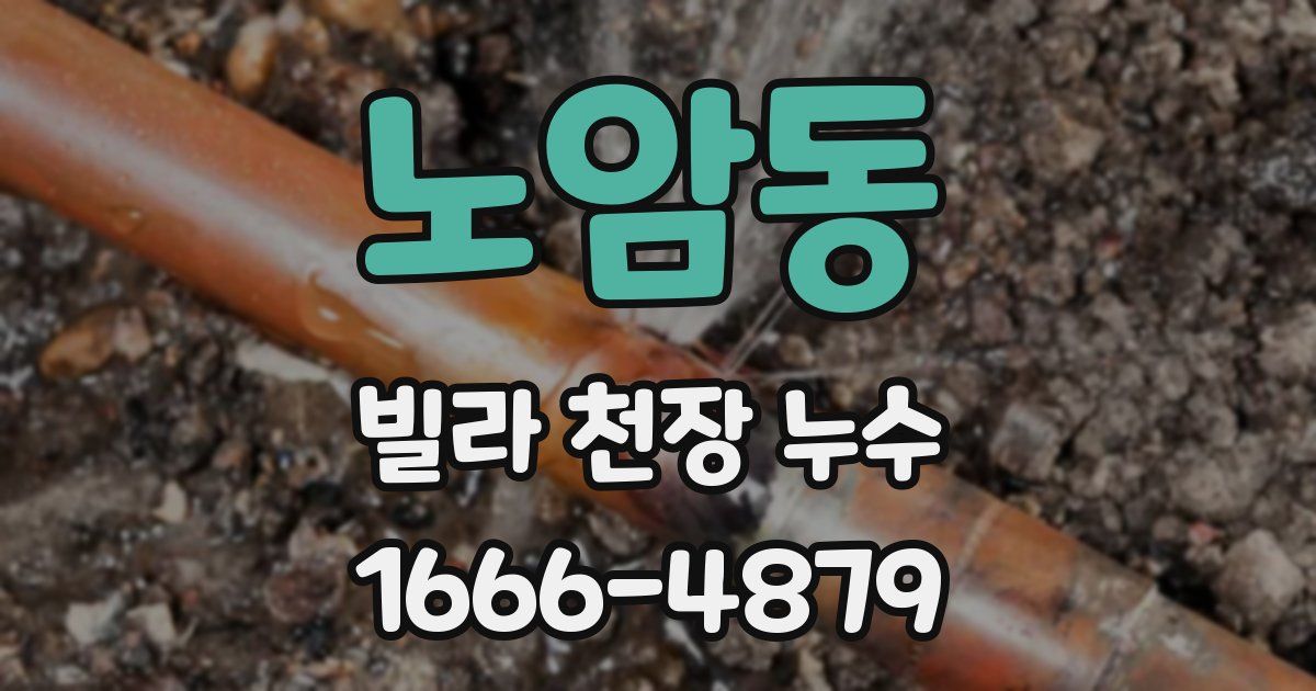 노암동 빌라 천장 누수