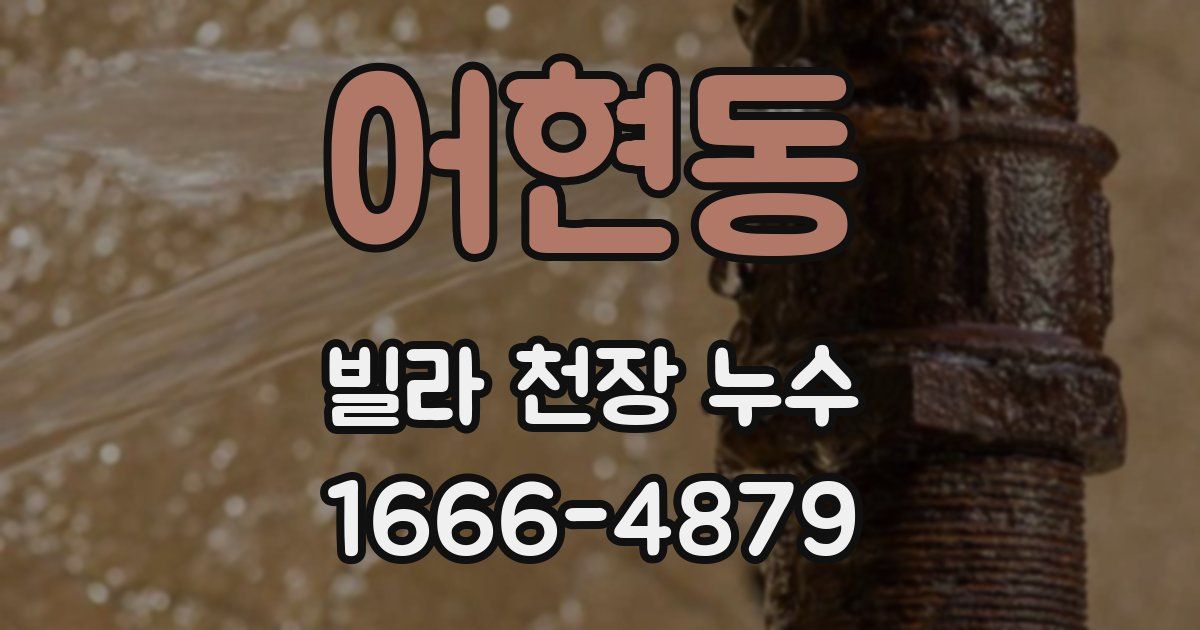 어현동 빌라 천장 누수