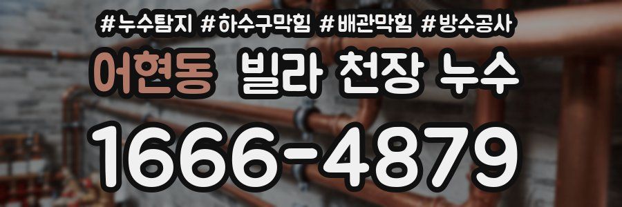 어현동 빌라 천장 누수