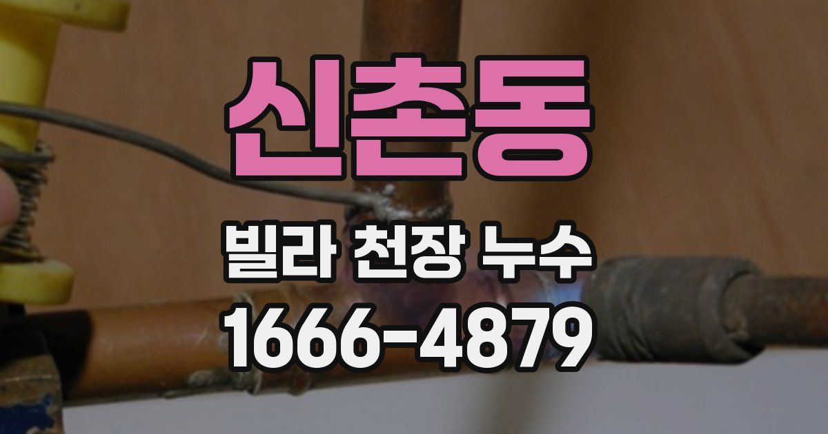 신촌동 빌라 천장 누수