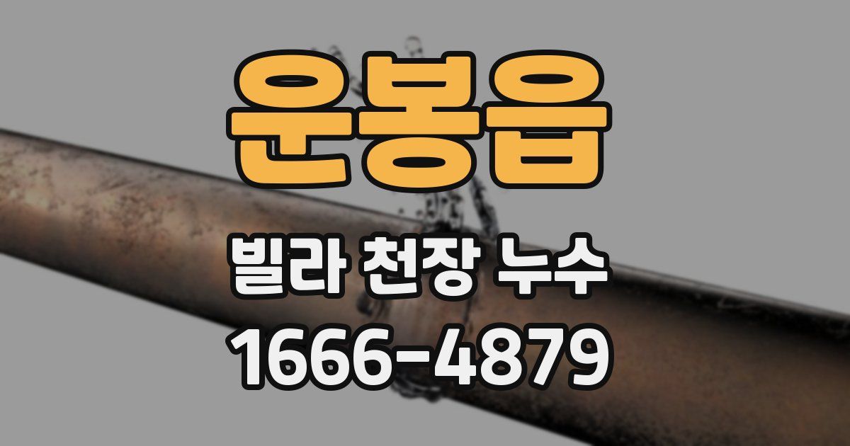 운봉읍 빌라 천장 누수