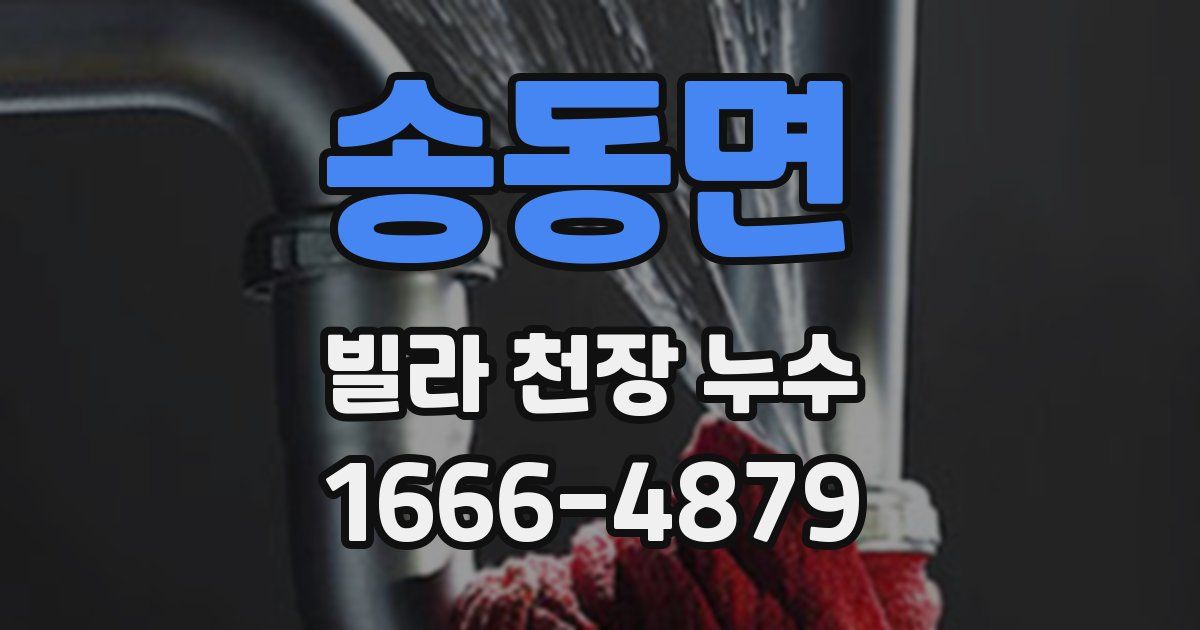 송동면 빌라 천장 누수
