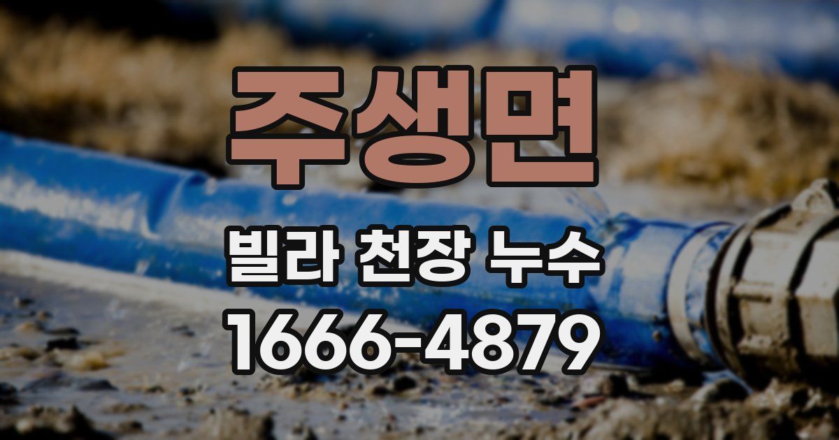 주생면 빌라 천장 누수