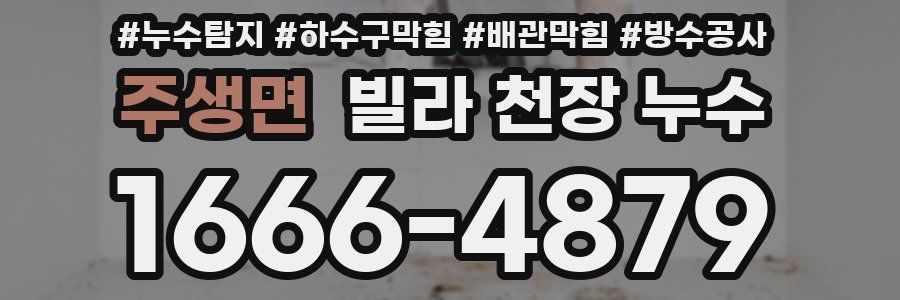 주생면 빌라 천장 누수