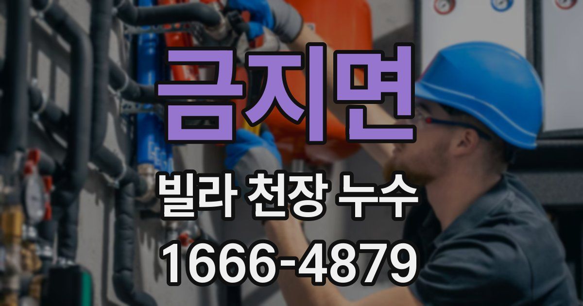 금지면 빌라 천장 누수