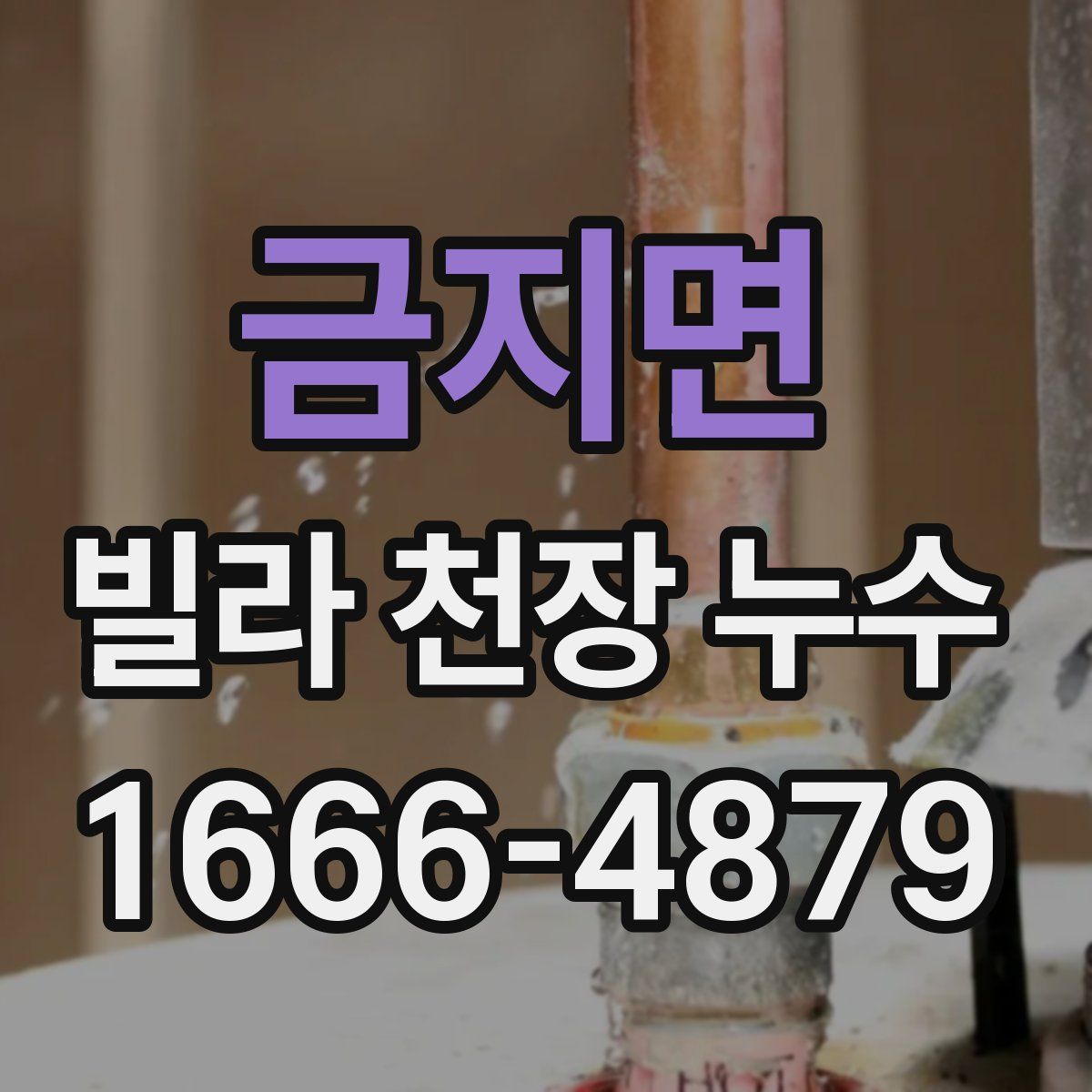 금지면 빌라 천장 누수