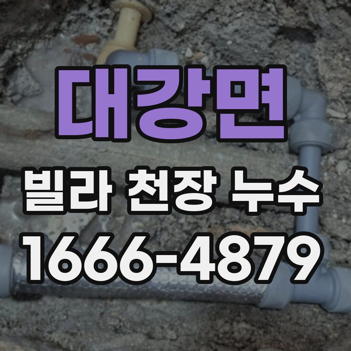 대강면 빌라 천장 누수