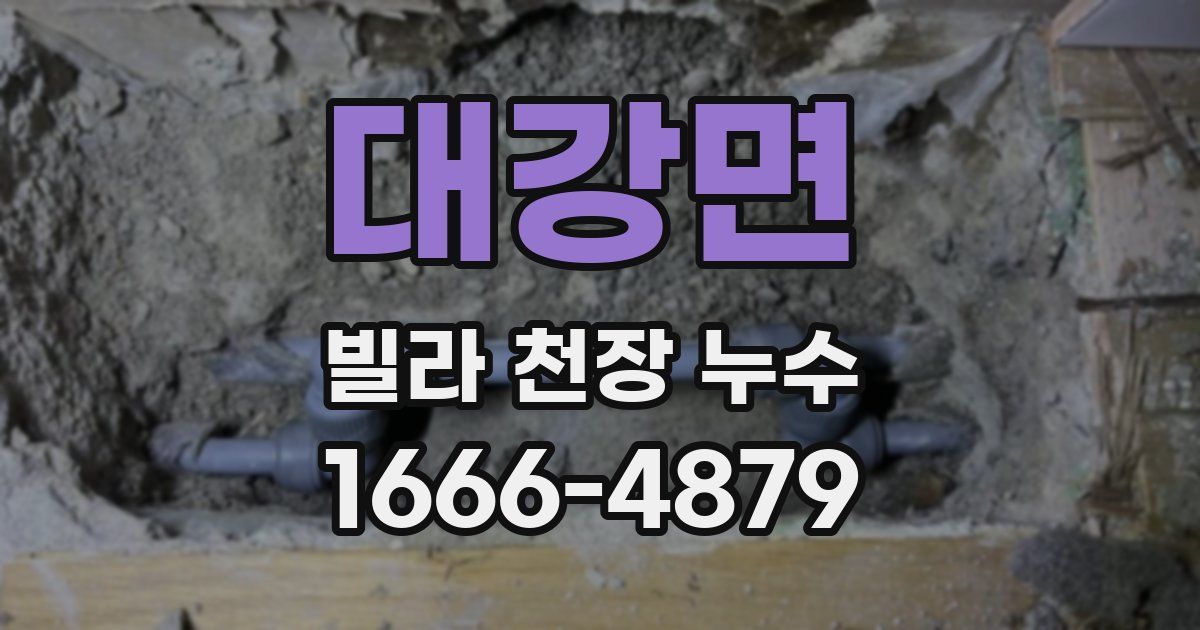 대강면 빌라 천장 누수