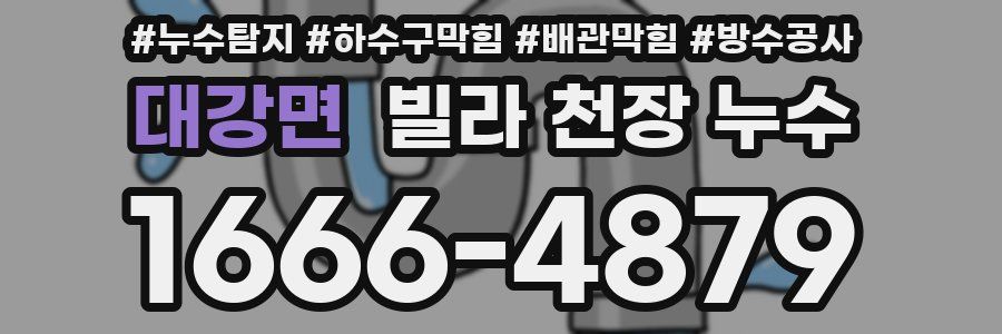 대강면 빌라 천장 누수