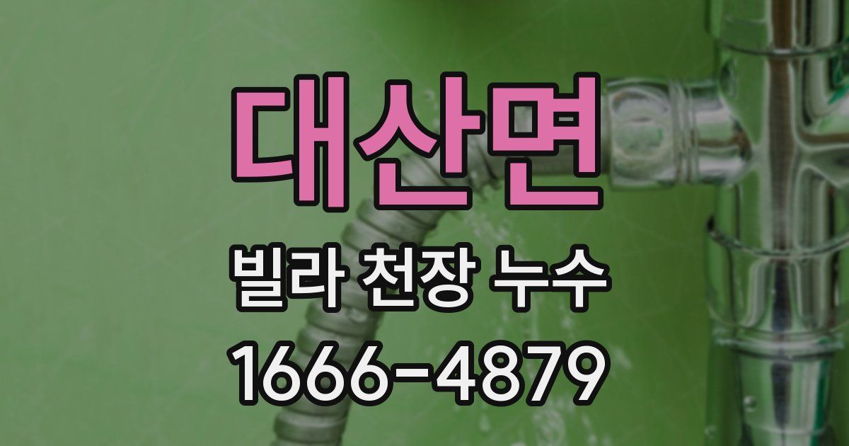 대산면 빌라 천장 누수