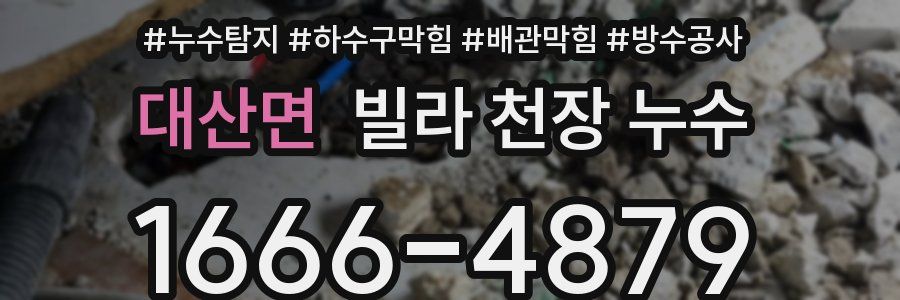대산면 빌라 천장 누수