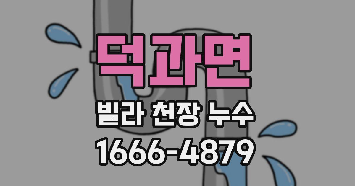 덕과면 빌라 천장 누수