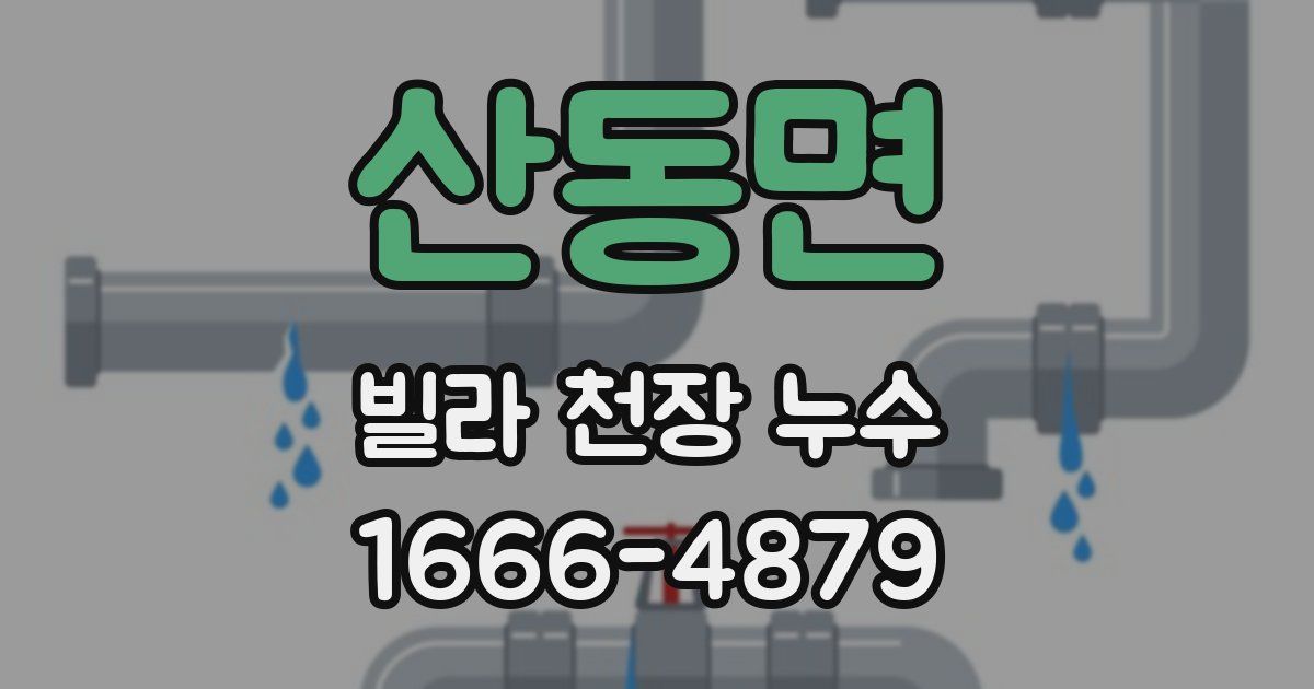 산동면 빌라 천장 누수