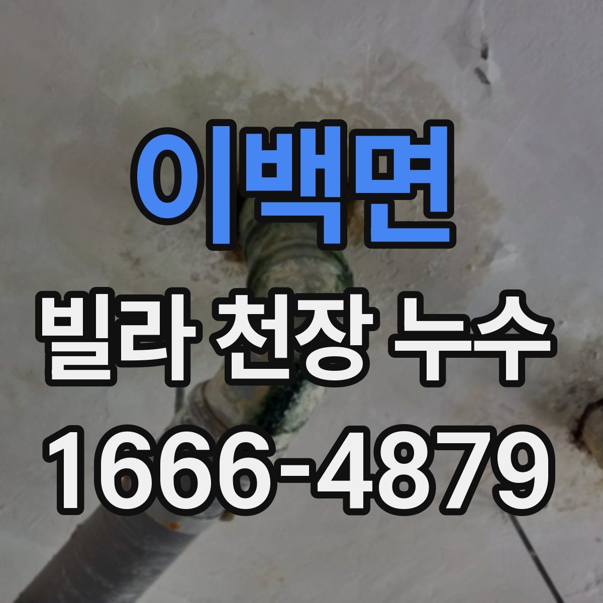이백면 빌라 천장 누수