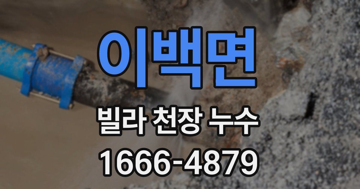 이백면 빌라 천장 누수