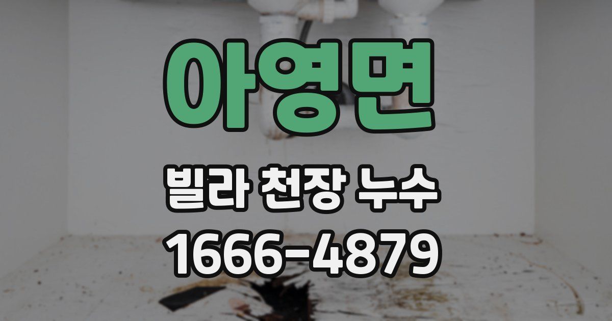 아영면 빌라 천장 누수