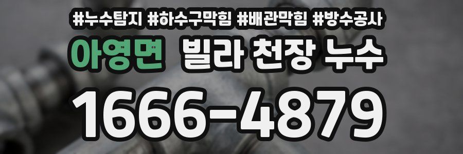 아영면 빌라 천장 누수