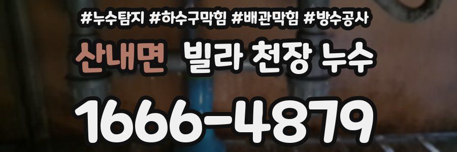 산내면 빌라 천장 누수