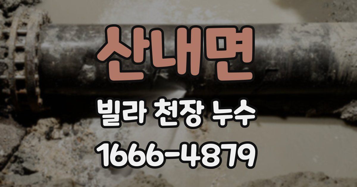 산내면 빌라 천장 누수