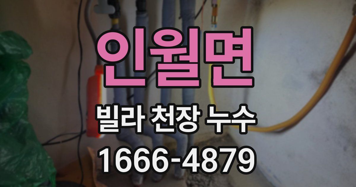 인월면 빌라 천장 누수