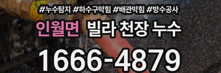 인월면 빌라 천장 누수