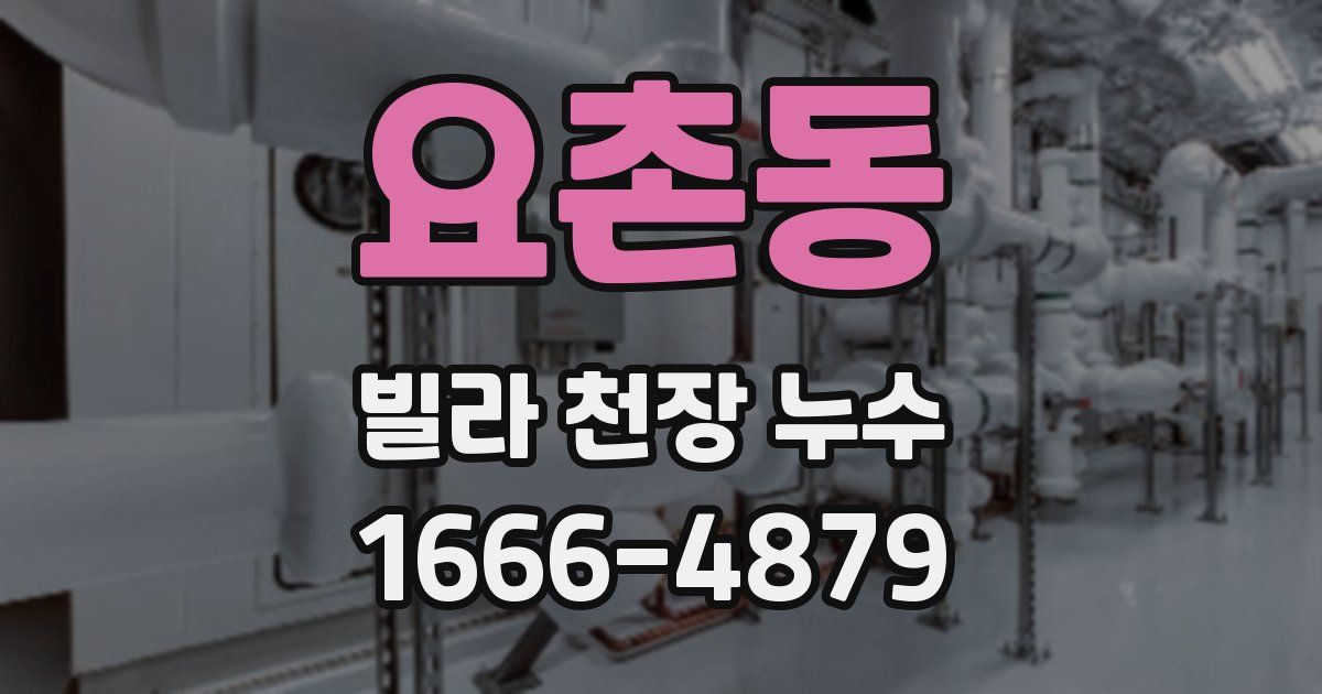 요촌동 빌라 천장 누수