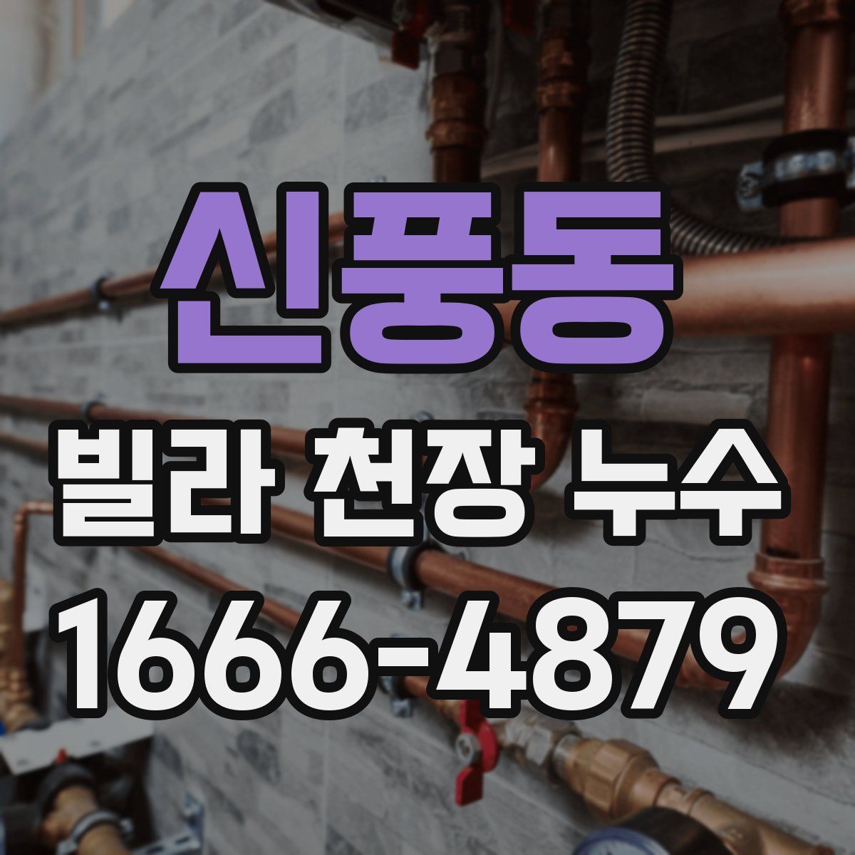 신풍동 빌라 천장 누수
