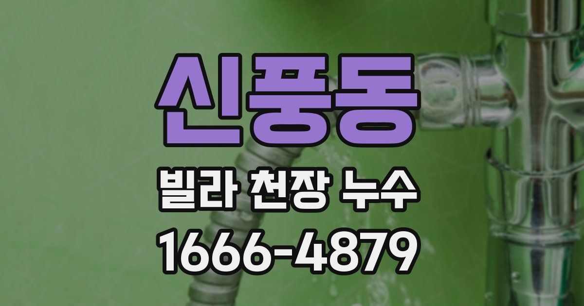 신풍동 빌라 천장 누수