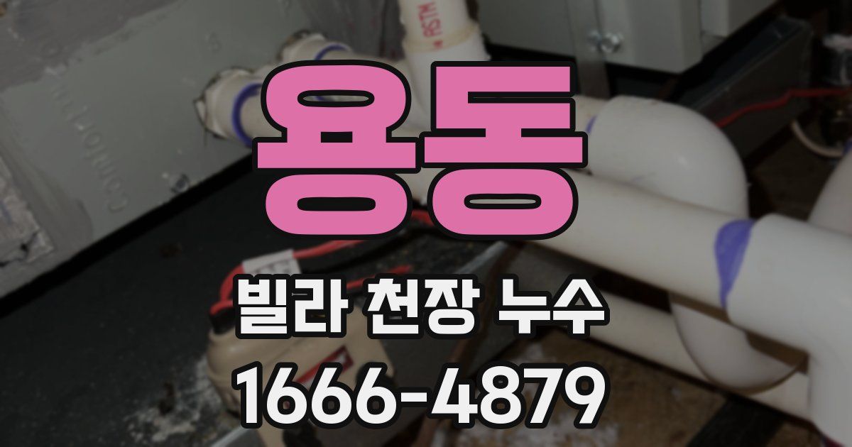 용동 빌라 천장 누수